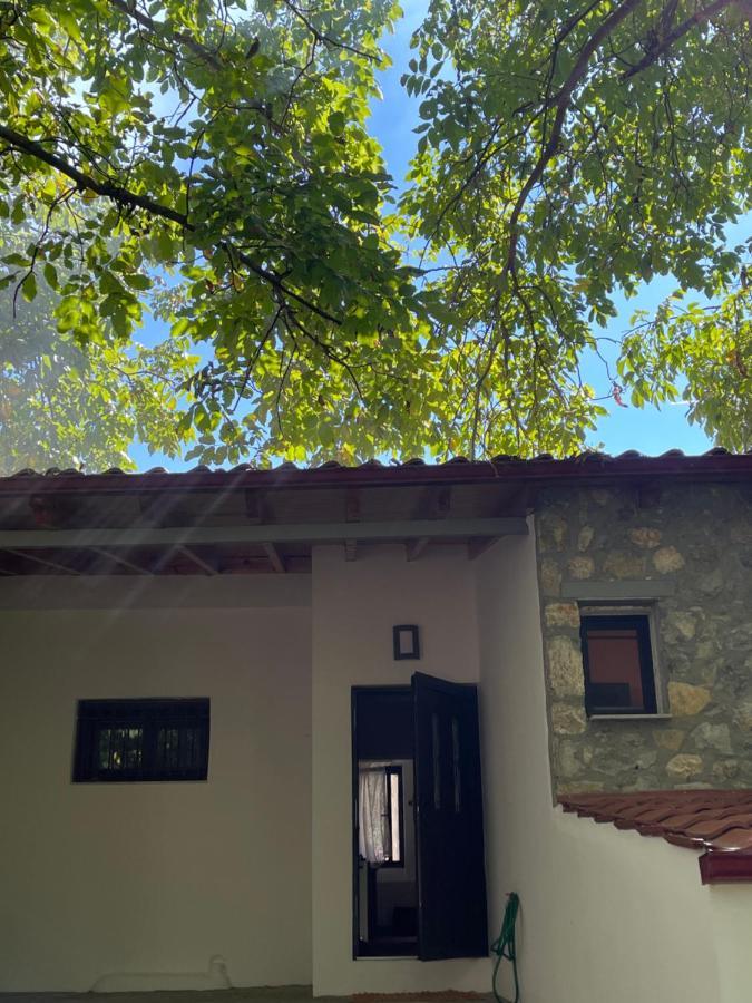 Stymfalia Cozy Village Guesthouse Karteri (Corinthia) Exterior foto